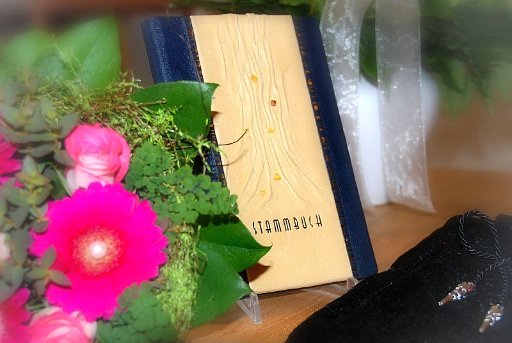 DSC 0120  web
